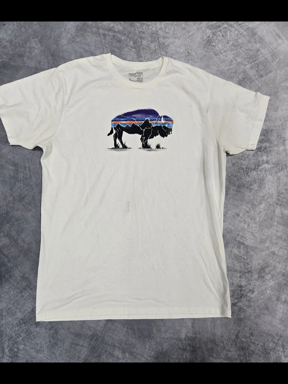 Patagonia classic white
